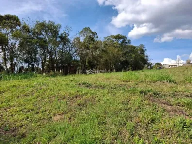 Lote/Terreno à venda, 10000m² no , Ibiúna