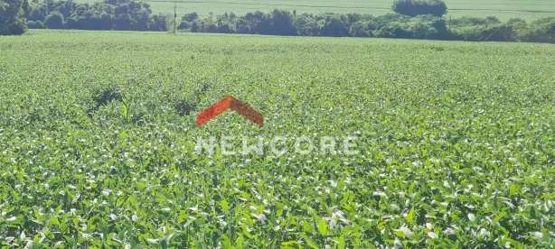 Fazenda/Sítio com 1 Quarto à venda, 169100m² no , Floresta