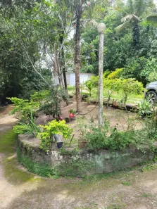 Fazenda/Sítio com 2 Quartos à venda, 2721m² no Granja dos Cavaleiros, Macaé