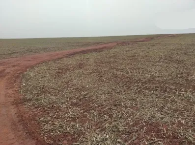 Fazenda/Sítio à venda, 15730000m² no Centro, Naviraí