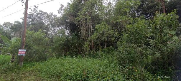 Lote/Terreno à venda, 2000m² no Morretes, Morretes