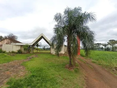 Fazenda/Sítio com 1 Quarto à venda, 1000m² no Conjunto Habitacional Jamile Dequech, Londrina