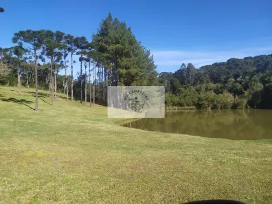 Fazenda/Sítio com 1 Quarto à venda, 1227m² no Bateias de Baixo, Campo Alegre