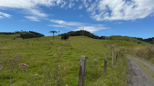 Fazenda/Sítio à venda, 20000m² no Taquaras, Rancho Queimado