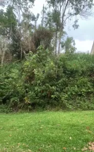 Lote/Terreno à venda, 658m² no Fazenda da Ilha, Embu-Guaçu