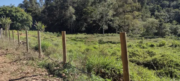 Fazenda/Sítio com 3 Quartos à venda, 23m² no Centro, Lagoinha