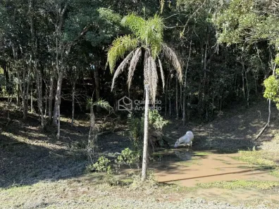 Fazenda/Sítio com 4 Quartos à venda, 16500m² no , Biguaçu