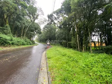Lote/Terreno à venda, 802m² no Lagos do Bosque, Gramado