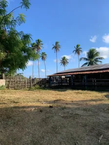 Fazenda/Sítio com 3 Quartos à venda, 300000m² no , Ceará-Mirim