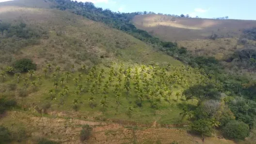 Fazenda/Sítio à venda, 290400m² no Papucaia, Cachoeiras de Macacu