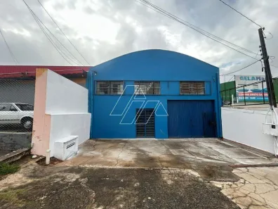 Galpão/Depósito/Armazém para alugar, 250m² no Parque das Indústrias, Marília