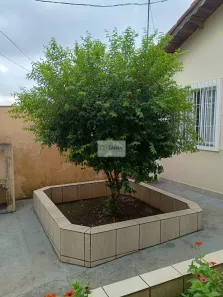 Casa com 3 Quartos à venda, 133m² no Alves Dias, São Bernardo do Campo