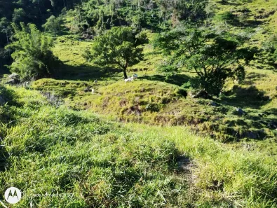 Fazenda/Sítio com 2 Quartos à venda, 750000m² no , Silva Jardim