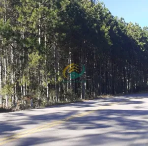 Lote/Terreno à venda, 10000m² no Centro, Rancho Queimado