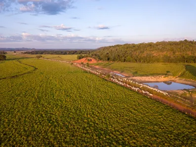 Fazenda/Sítio com 5 Quartos à venda, 180000m² no , Goiatins