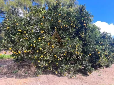 Fazenda/Sítio com 10 Quartos à venda, 4114000m² no Área Rural de Angatuba, Angatuba