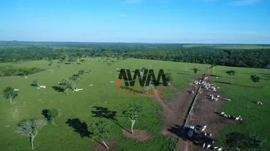 Fazenda/Sítio à venda, 62800000m² no Vila Nova, Paranatinga