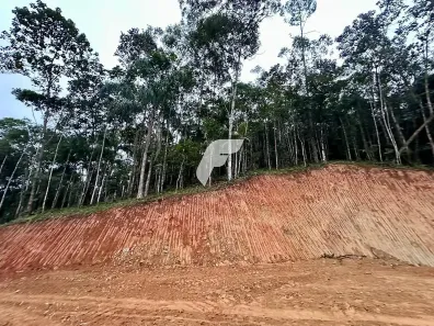 Lote/Terreno à venda, 30143m² no , Massaranduba