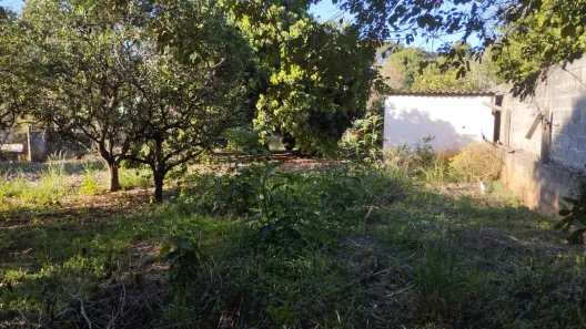 Lote/Terreno à venda, 1000m² no Jardim Santa Rosália, Sorocaba