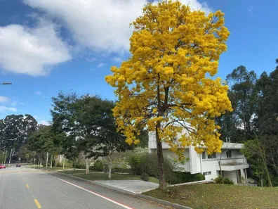 Casa de Condomínio com 4 Quartos à venda, 900m² no Tamboré, Barueri