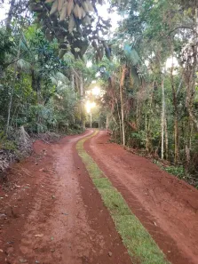 Lote/Terreno à venda, 20000m² no , Santa Teresa