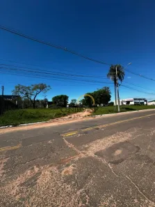 Lote/Terreno para alugar, 1750m² no Jardim Mary, Bauru
