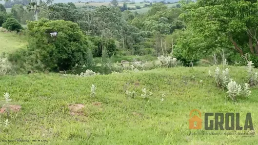 Fazenda/Sítio à venda, 24200m² no Centro, Campo Mourão