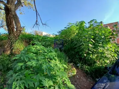 Lote/Terreno à venda, 269m² no Jardim Ana Estela, Carapicuíba