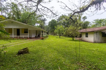 Fazenda/Sítio com 3 Quartos à venda, 36300m² no Porto de Cima, Morretes
