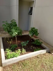 Apartamento com 2 Quartos à venda, 52m² no Jardim Monte Alegre, São Paulo