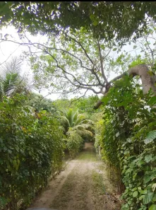 Fazenda/Sítio com 1 Quarto à venda, 5000m² no Nova Cruz, Igarassu