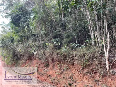 Lote/Terreno à venda, 2100m² no Palmares, Paty do Alferes