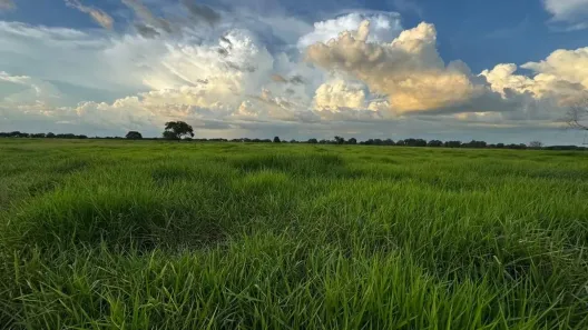 Fazenda/Sítio com 4 Quartos à venda, 18876000m² no , Aruanã