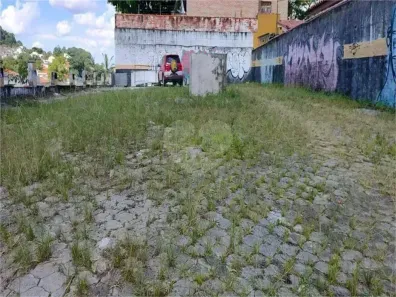 Lote/Terreno à venda, 503m² no Vila Albertina, São Paulo