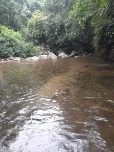 Fazenda/Sítio à venda, 40000m² no Guapiaçu, Cachoeiras de Macacu