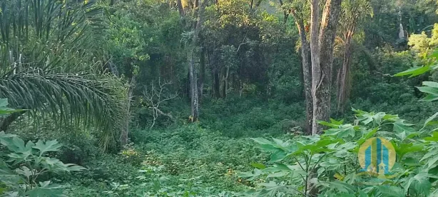 Lote/Terreno à venda, 1200m² no Chácara das Garças, Santana de Parnaíba