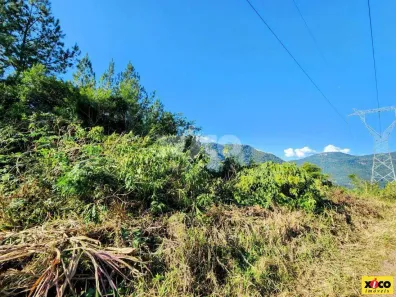 Fazenda/Sítio com 1 Quarto à venda, 4519m² no , Nova Petrópolis