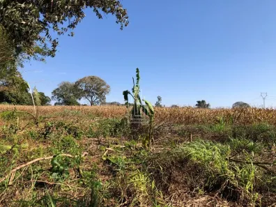 Fazenda/Sítio à venda, 13000m² no Santa Terezinha De Itaipu, Santa Terezinha de Itaipu
