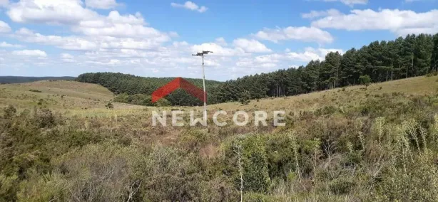 Fazenda/Sítio à venda, 25000m² no Centro, São Francisco de Paula