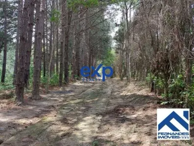 Fazenda/Sítio com 2 Quartos à venda, 220049m² no Olho D'Água, Mairiporã