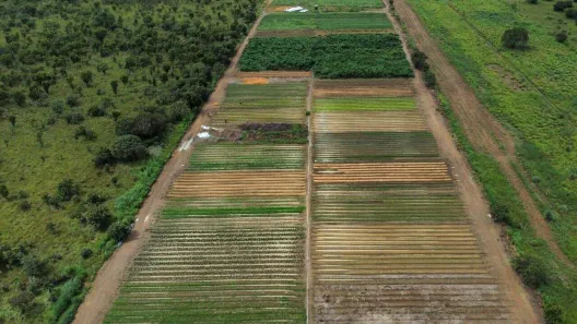 Fazenda/Sítio à venda, 2000m² no Área Rural de Palmas, Palmas