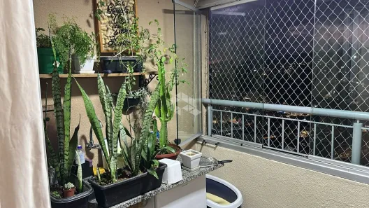 Apartamento com 3 Quartos à venda, 67m² no Jaçanã, São Paulo