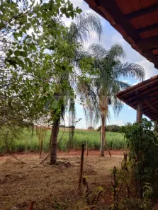 Fazenda/Sítio à venda, 290400m² no Parque Espraiado, São Carlos