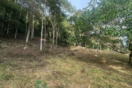 Lote/Terreno à venda, 1000m² no São Pedro, Juiz de Fora