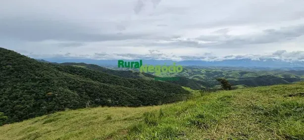Fazenda/Sítio à venda, 461700m² no , Silveiras