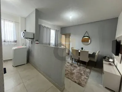 Apartamento com 2 Quartos para alugar, 50m² no Parque Yolanda (Nova Veneza), Sumaré