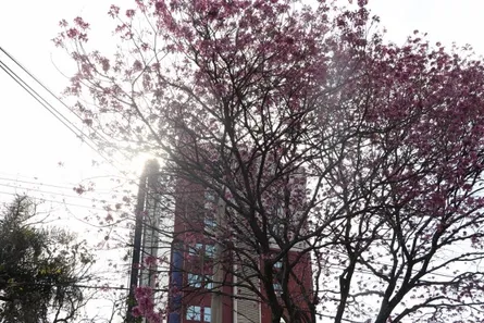 Consultório à venda, 75m² no Vila Itapura, Campinas
