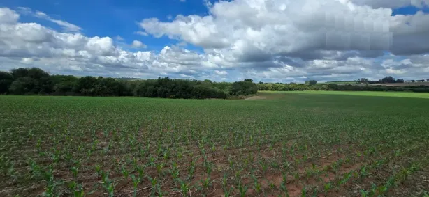 Fazenda/Sítio à venda, 1645000m² no , Cruzeiro do Oeste