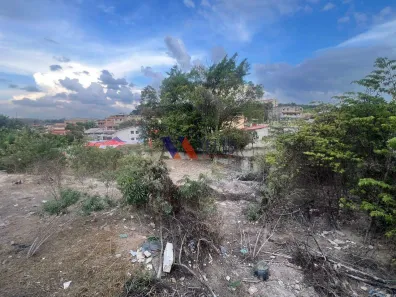 Lote/Terreno à venda, 326m² no Vila das Flores, Betim