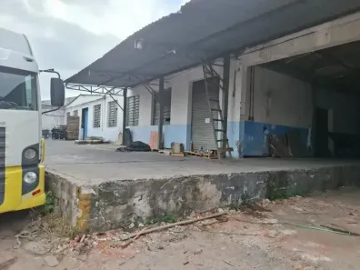 Galpão/Depósito/Armazém com 8 Quartos para alugar, 2396m² no Parque Novo Mundo, São Paulo
